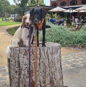 Meet your Posher, Tamara